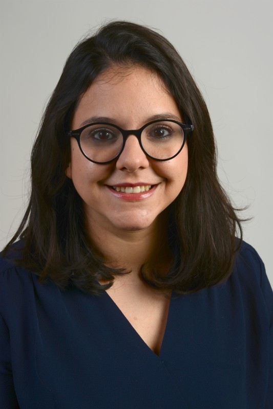 Dr.  Eleni Mavrona