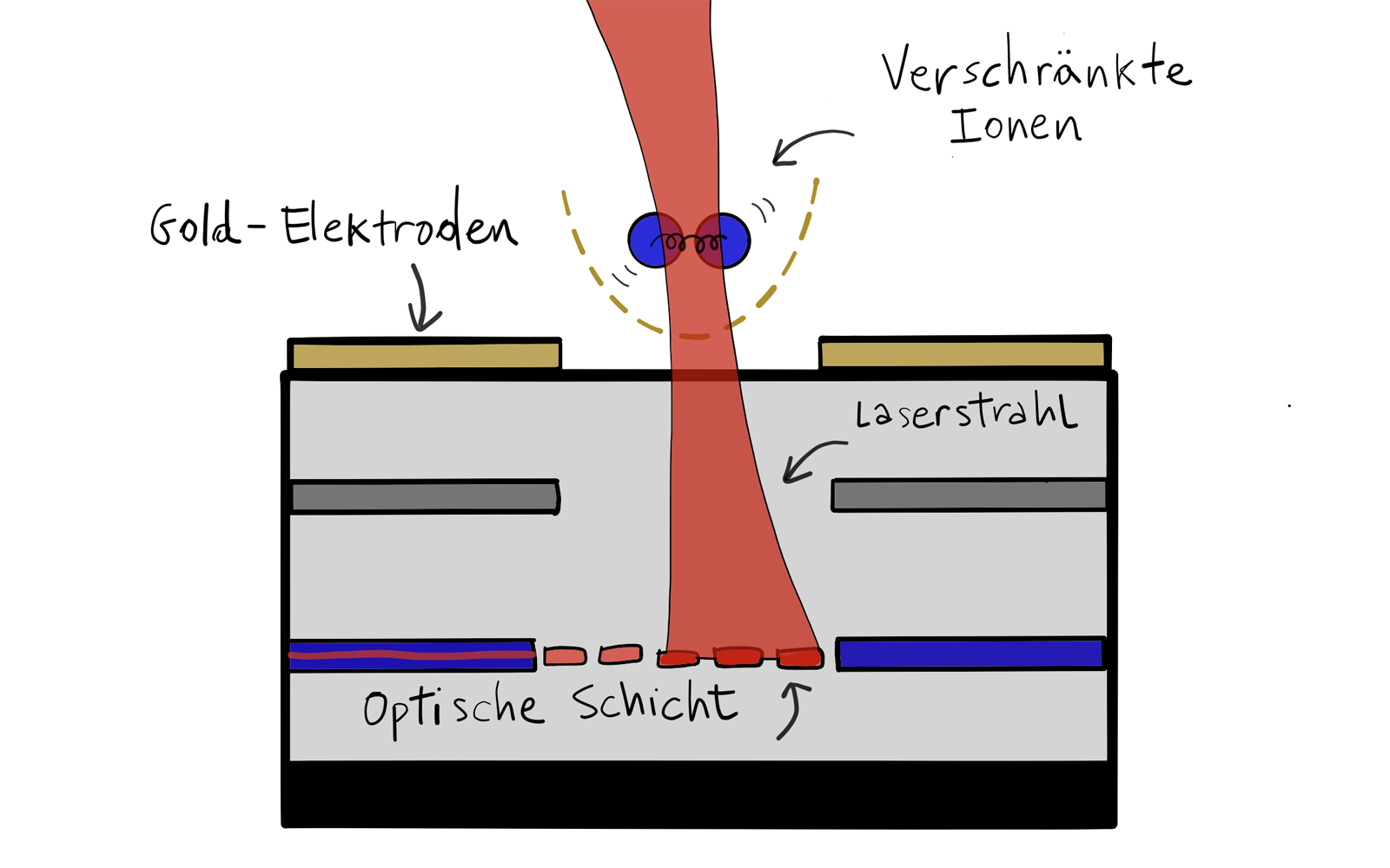 Vergrösserte Ansicht: Schema Funktionsweise Lichtleiterchip