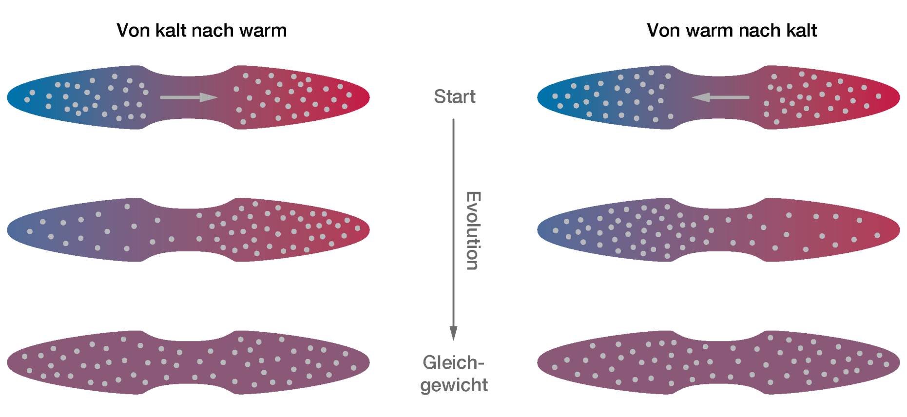 Schematische Darstellung der beiden Möglichkeiten, wie die Atome ausgehend von zwei Reservoirs unterschiedlicher Temperatur ein thermisches Gleichgewicht erreichen können.
