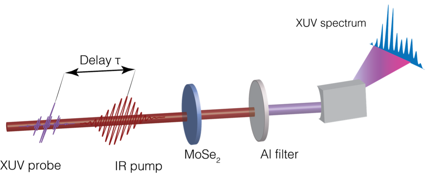 Aufbau des Experiments