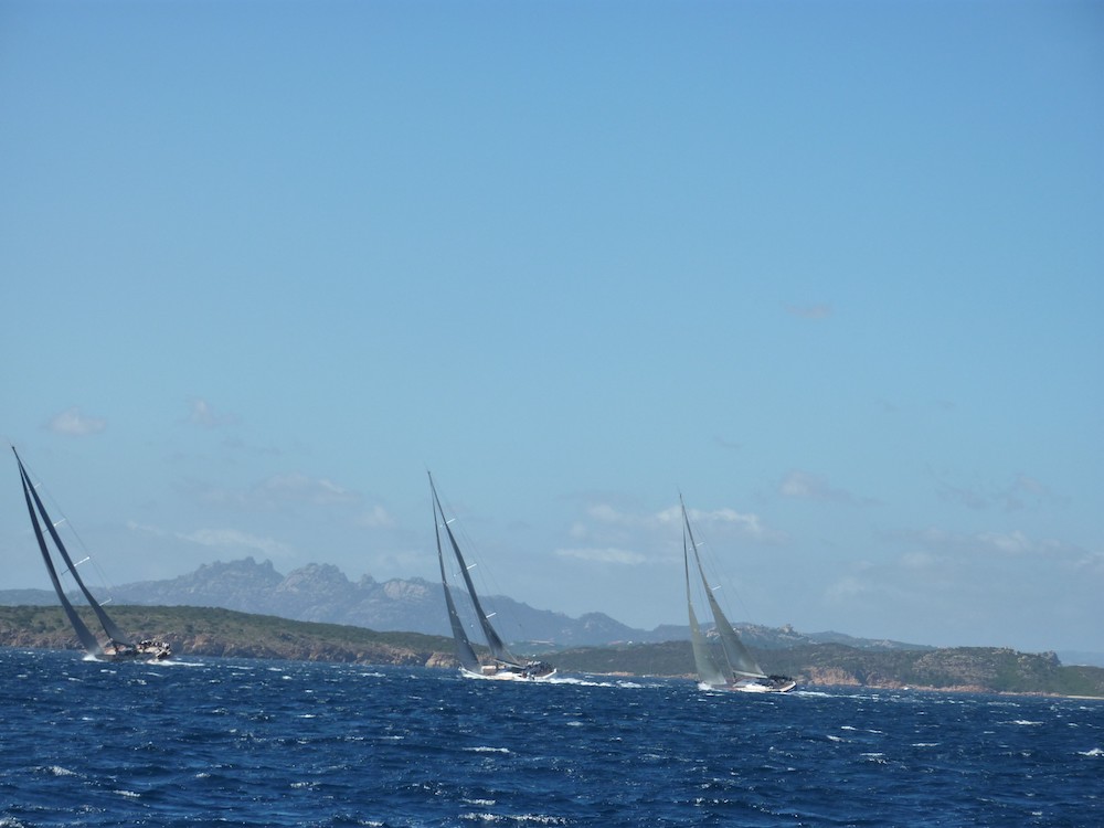 Vergrösserte Ansicht: Regatta
