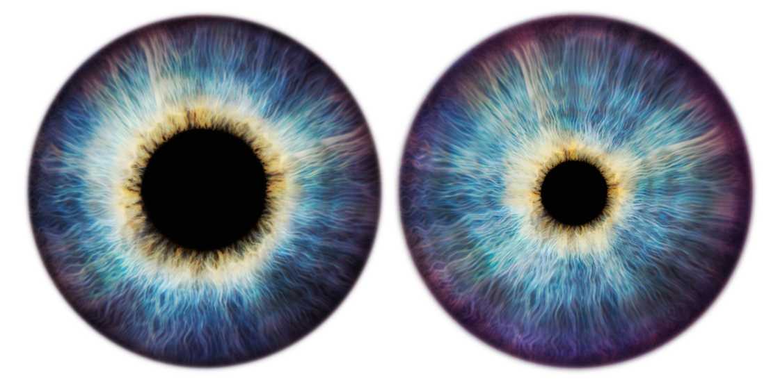 Scientifica-Augen