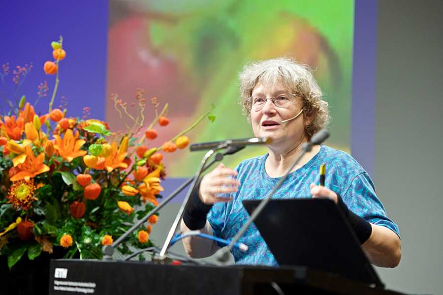 Vergrösserte Ansicht: Pauli Lectures