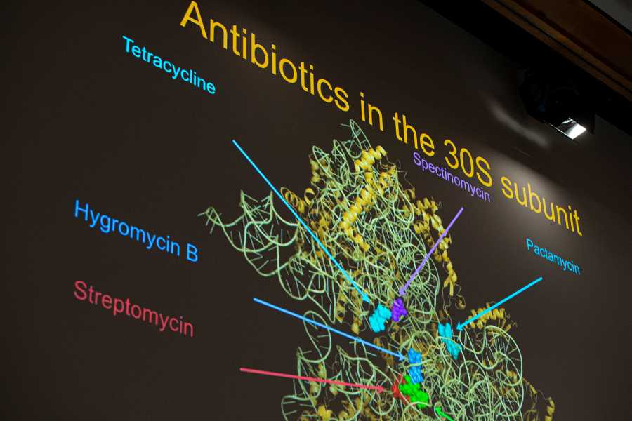 Vergrösserte Ansicht: Pauli-Lectures 2019
