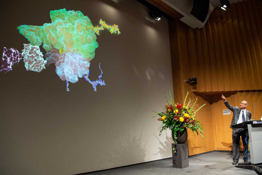 Vergrösserte Ansicht: Pauli-Lectures 2019