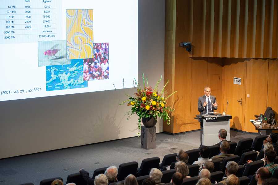 Vergrösserte Ansicht: Pauli-Lectures 2019