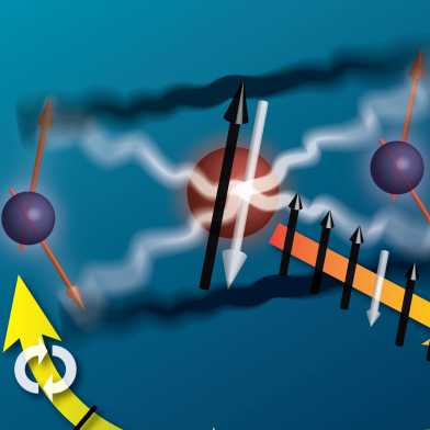 Repeated multi-qubit readout and feedback with a mixed-species trapped-ion register