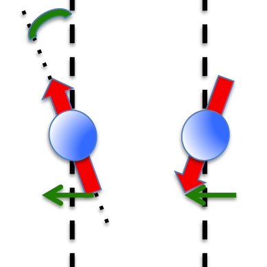 Antiferromagnetic and canted antiferromagnetic order