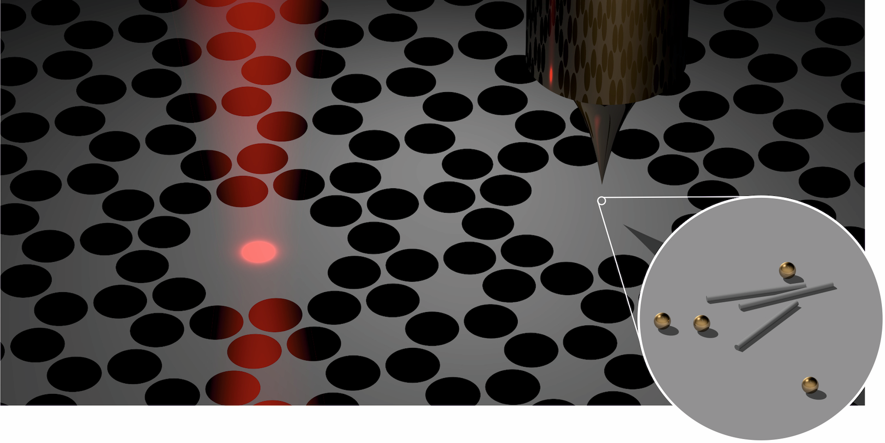 Enlarged view: Configuration of the inverted scanning force microscope.