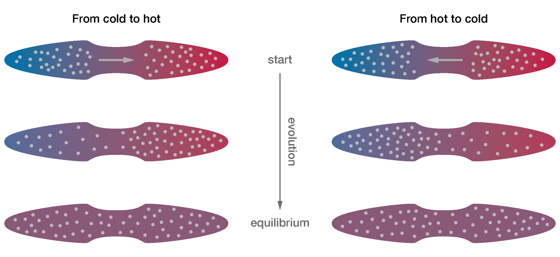  Schematic of the two options how the atoms can reach thermal equilibrium starting from two reservoirs at different temperature.