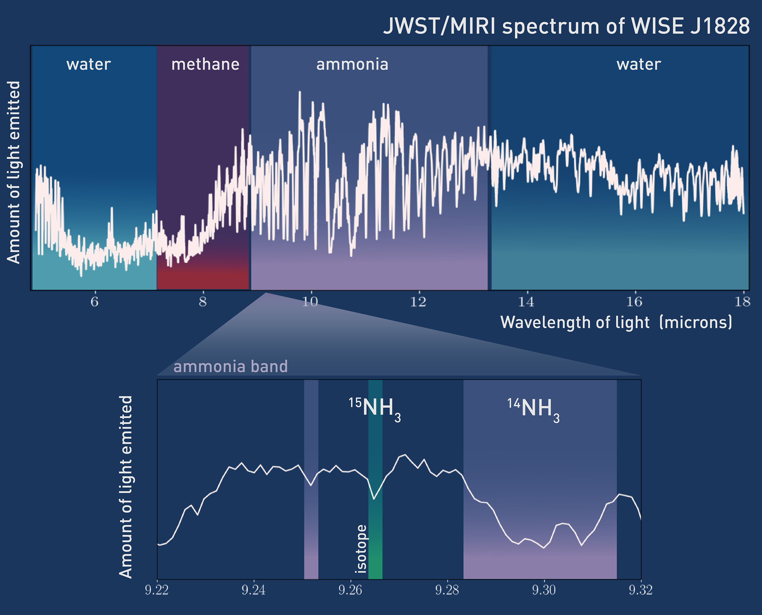 Enlarged view: Measured spectrum of WISE 1828