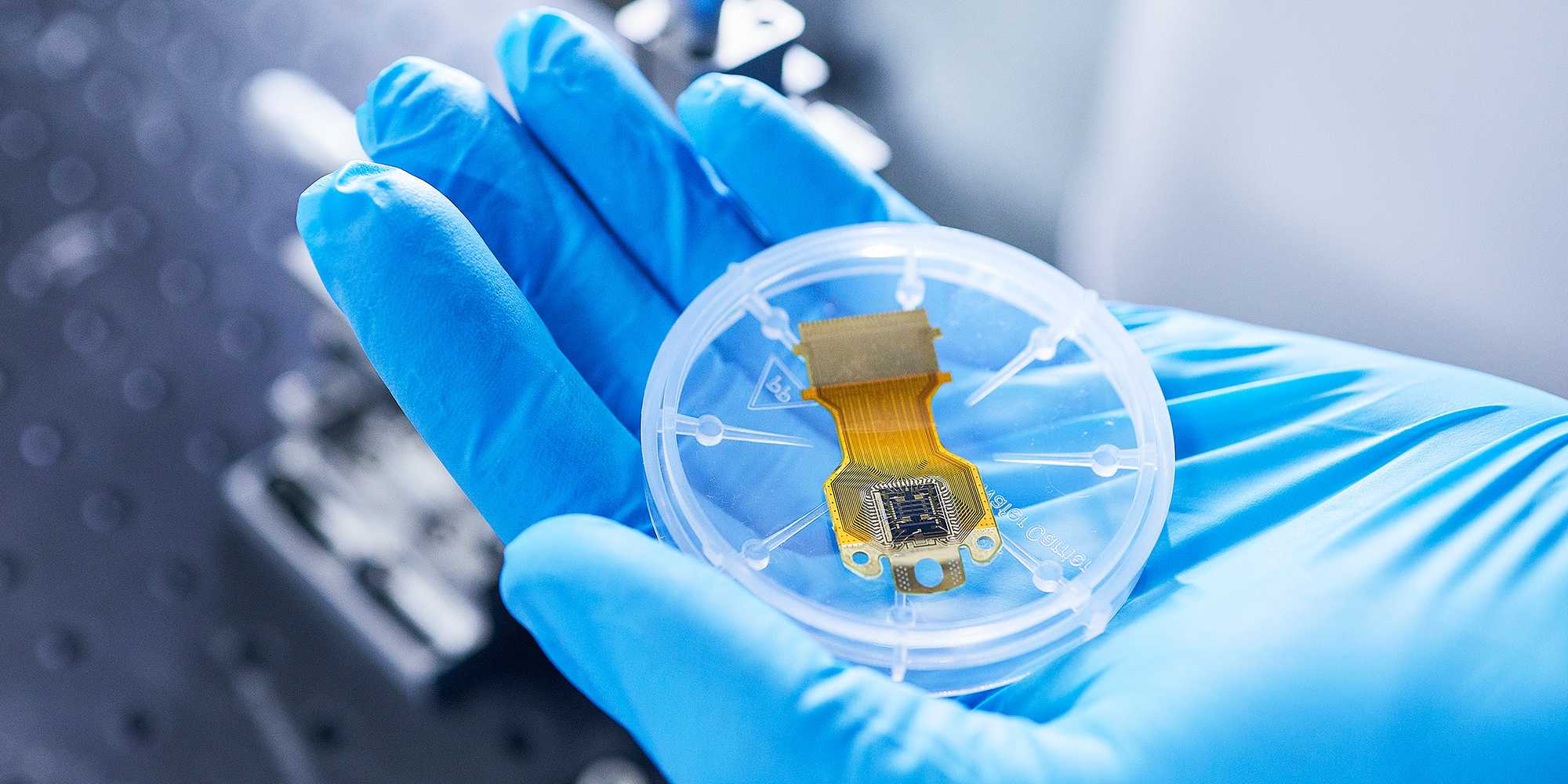 Close-up photograph of a gloved hand holding the sample chip with the Hall bar used in the experiment