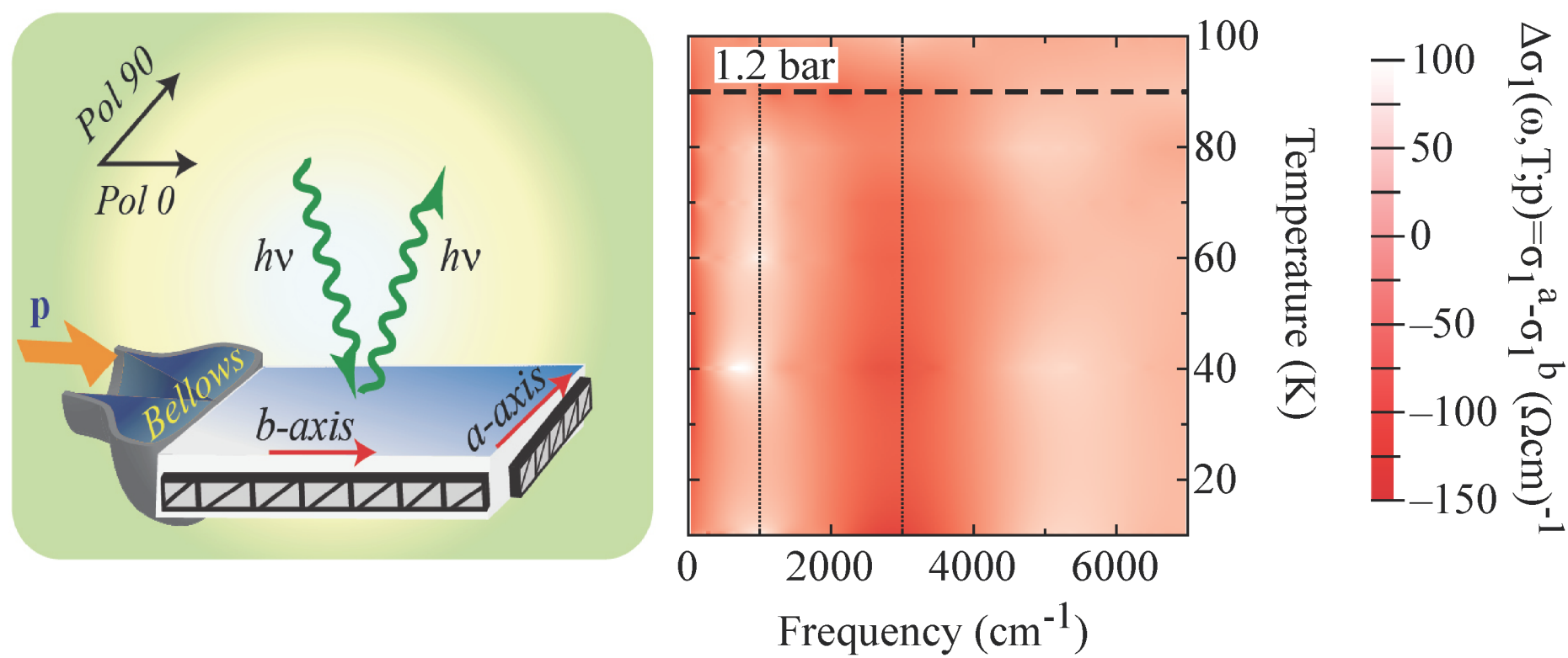 Enlarged view: Figure summary