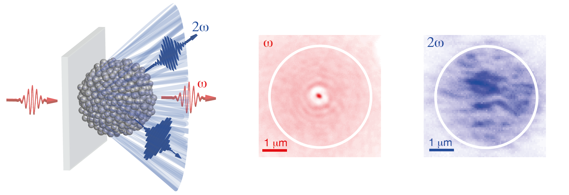 Enlarged view: picture of light conversion