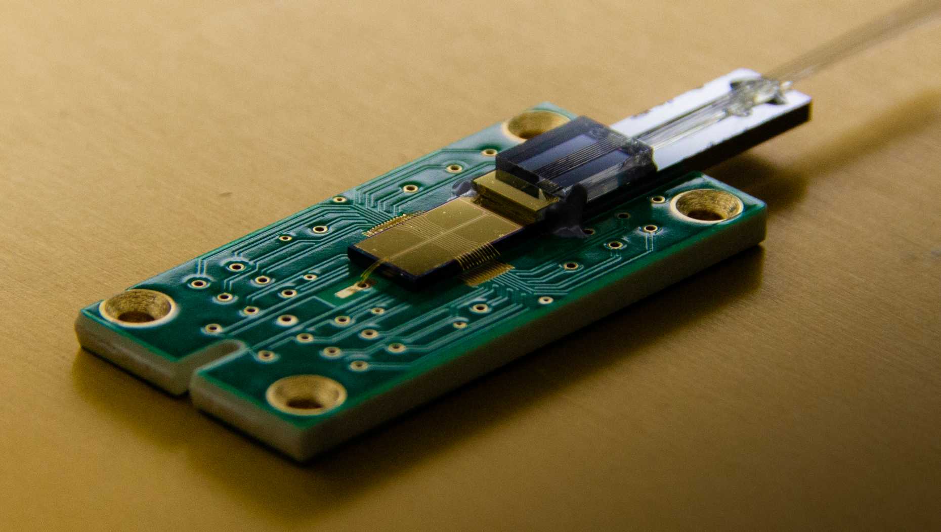 Ion-trap chip with integrated waveguides