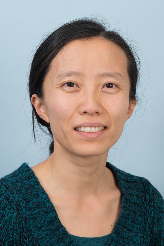 Prof. Dr.  Yiwen Chu